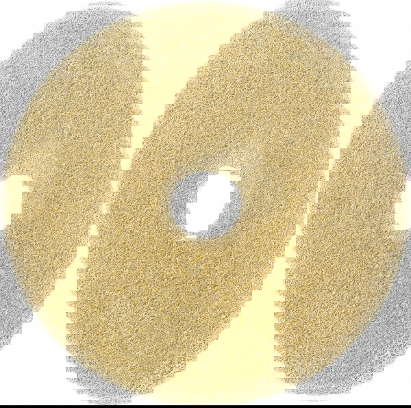 Unmounted Polishing Wheel Buffing Wheel: 6